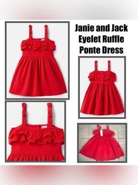 Janie and Jack Ponte Dress